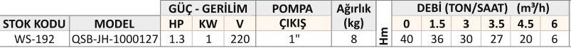 1000127 KESON KUYU POMPASI